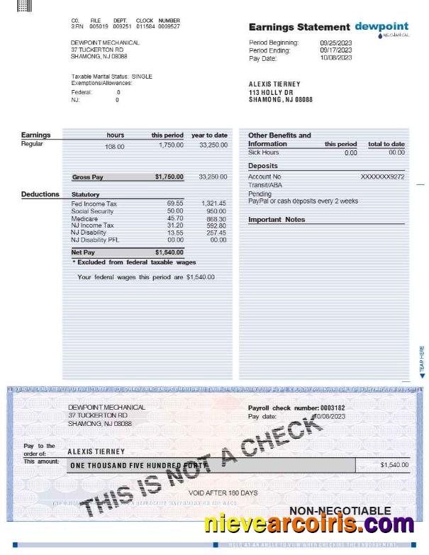 DEWPOINT MECHANICAL earnings statement